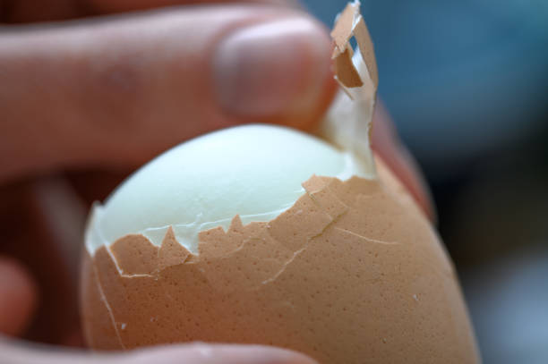 peeling a hard-boiled egg, breakfast of champions