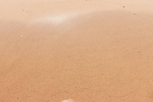 place for text on a seascape with a wave