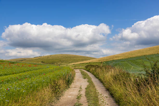 istock Farmland in the South Downs on a summer's day, with a pathway running between fields and a blue sky overhead 2165064304