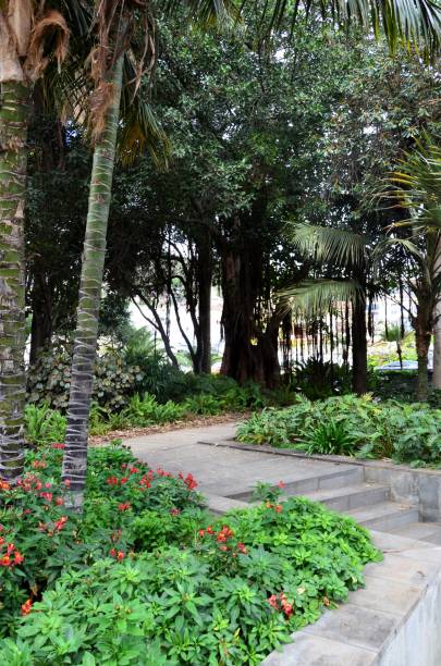 istock Santa Cruz de Tenerife park (Parque García Sanabria) 2165064540