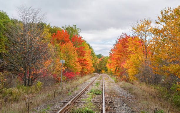 istock Single-track railway among autumn trees in Quebec, Canada. 2165069451