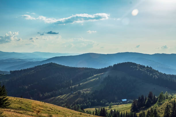 istock Landscapes - Forest - Europe, Romania 2165070086