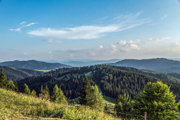 istock Landscapes - Forest - Europe, Romania 2165070167