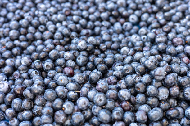 istock blueberries on a market counter 2165072093