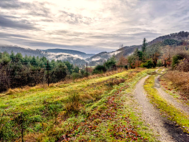Dirt country road for hiking, summer season, Serbia, surroundings of the town of Cacak.
