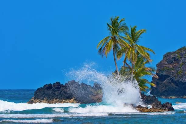 Wizard beach, Bastimentos Island, Bocas del Toro, Panama
