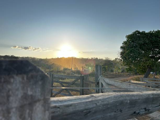 BEAUTIFUL NATURE  SUNSET AT FARM