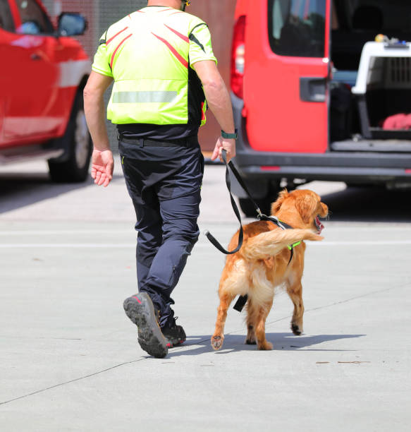 istock molecular detection dog on the job and handler during a search 2165101581