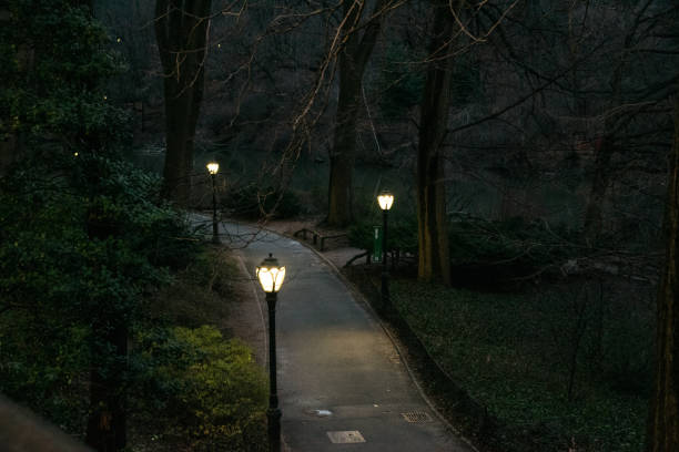 Ibirapuera Park at night in Sao Paulo, Brazil