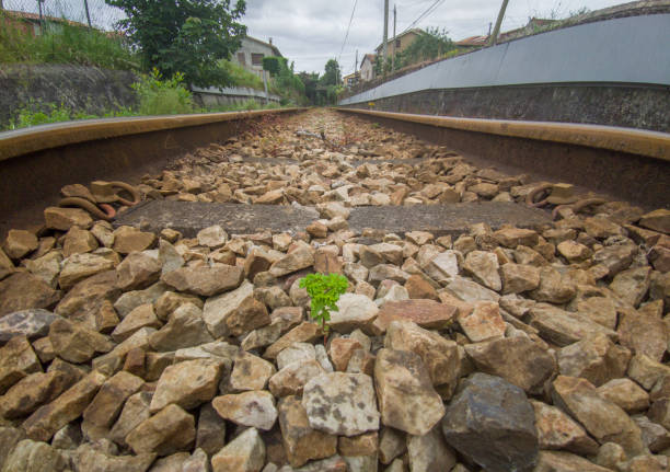 Rural rairoads network concept. Weeds growing on trackbed