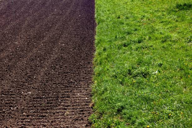 istock ploughed land and meadow 2165117275
