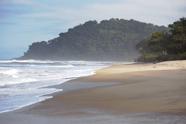 White foam on sea breaking wet sand, mountain covered by green vegetation, empty beach