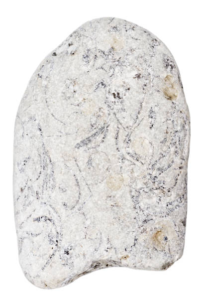 istock Top view of single gray pebble 2165119612