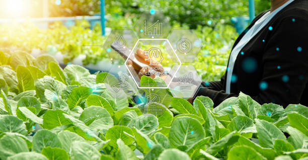istock The concept of using AI and smart farming. 2165120776