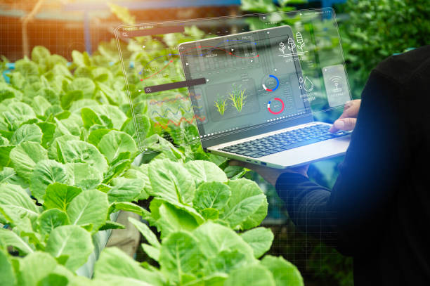 istock The concept of using AI and smart farming 2165120777