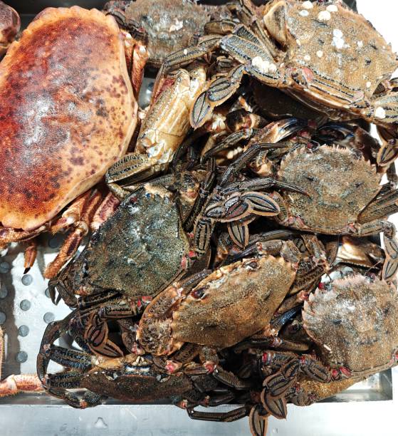 istock Crabs and seafood at the market. 2165122706
