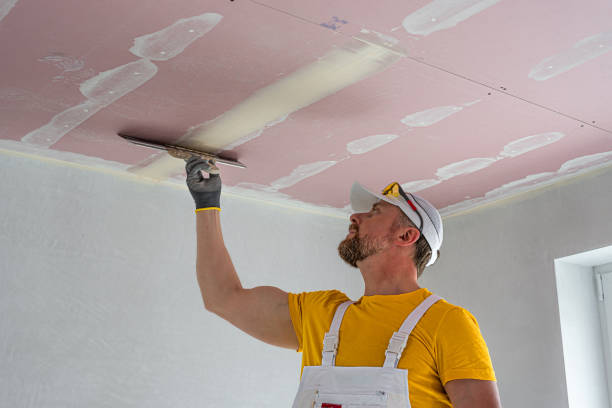 Personal Experiences and Professional Insights on Ceiling Repair