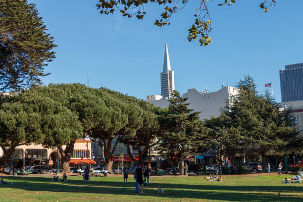 San Francisco, CA, USA -September 16, 2014:  Washington Square and the modern architecture skyscraper Transamerica Pyramid office tower, San Francisco, California