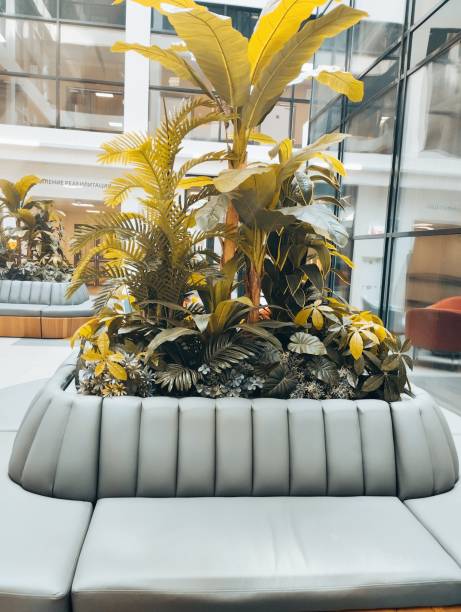 istock Flower arrangement in the building 2165136700