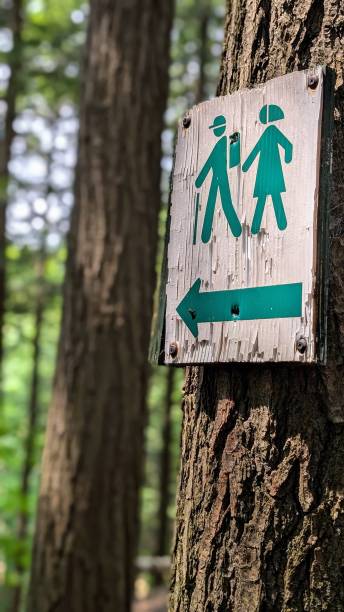 istock Hiking trail marker in woods 2165138386