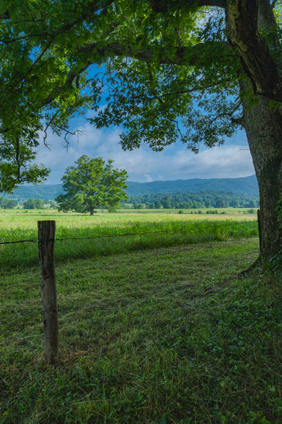istock Cades Cove Landscape 2165138476