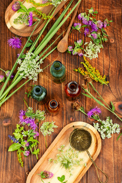 istock Bottles of tincture, medicinal herbs 2165139532