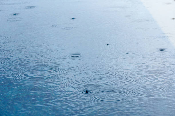 Fresh water drop, whirl and splash. Bright water rings affect the surface. 5