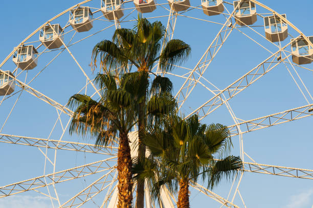 istock Palm trees and a Ferris wheel against a blue sky. 2165143335