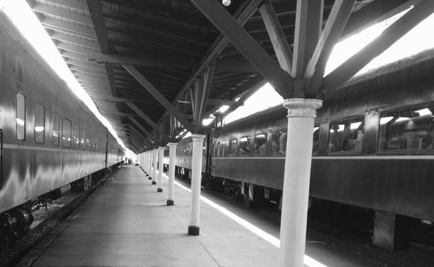 Two trains awaiting passengers