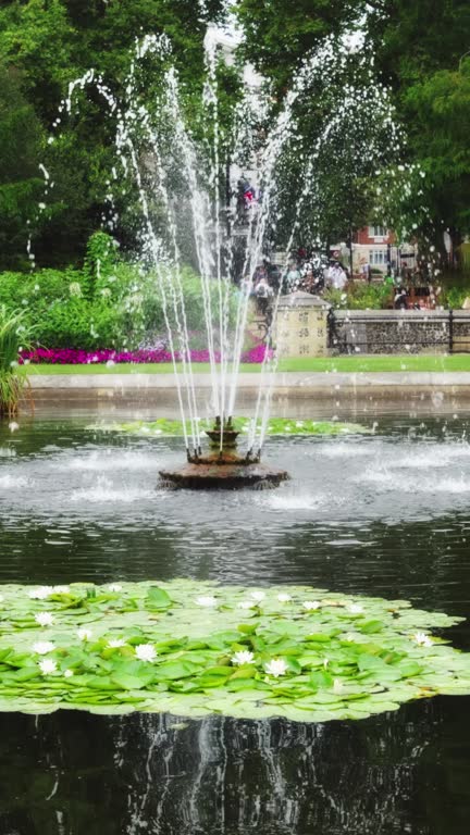 Fountain and water lilies in the Italian Gardens, Kensington Gardens, London.