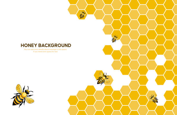 Honeycomb Pattern with Bees on a White Background Illustration Illustration featuring honeycomb pattern and bees on a white background. Perfect for designs related to honey, bees, and nature themes. bee species stock illustrations