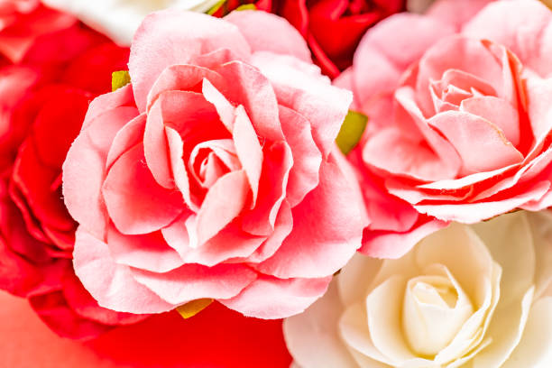 Image of rose flowers.