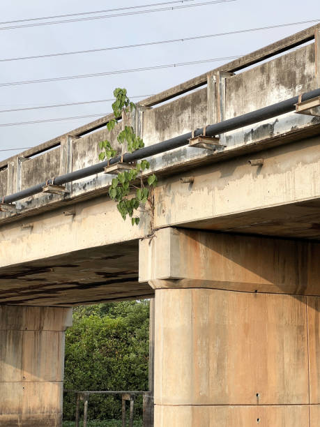 istock cement road bridge in country Thailand 2165161229