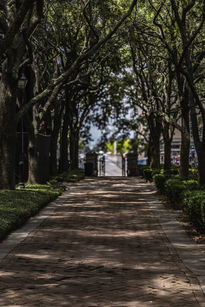istock Beautiful brick path lined on both sides by old live oak trees with spanish moss in captivating nostalgia of previous era in US history on Battery par 2165161238