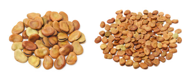 istock Fava beans,Vicia faba 2165163273