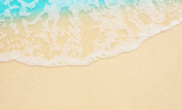 istock wet sand beach, close up, topview 2165170665
