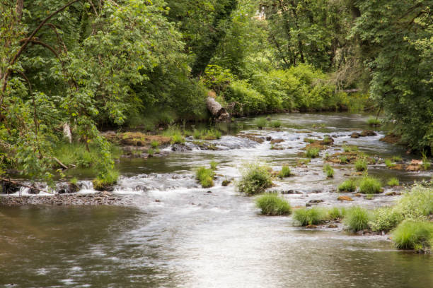 istock USA,Oregon, Lane County. Fall Creek. 2165170983