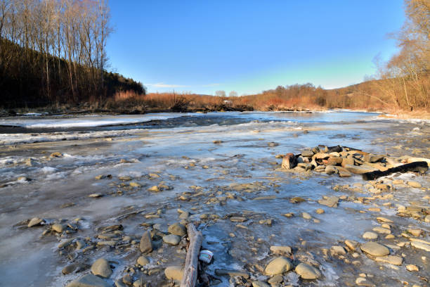 Eye view from below on a frozen river in winter flowing in the middle of the forest
