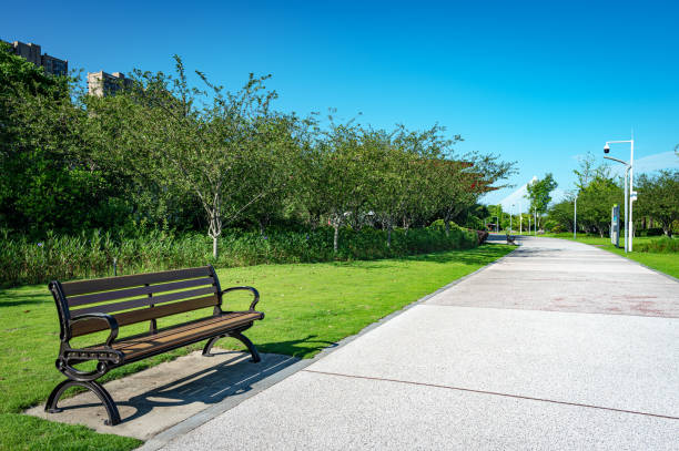 istock Pathway bench in the beautiful city park 2165183163