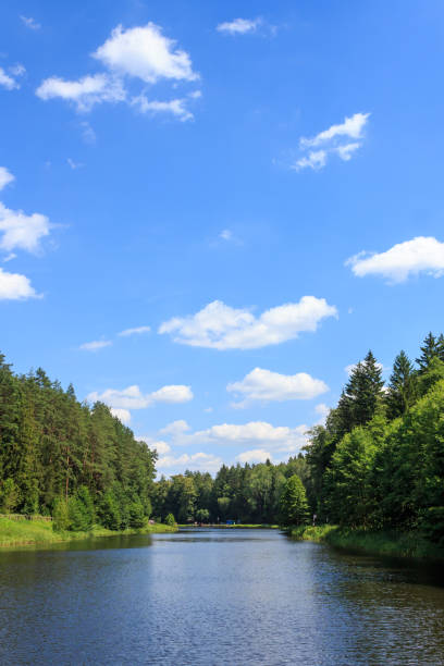 istock Landscape of forest and river on a sunny summer day 2165186049