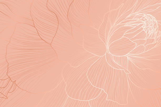 An Elegant Floral Background Featuring Subtle Peach Tones with a Touch of Sophistication An Elegant Floral Background Featuring Subtle Peach Tones with a Touch of Sophistication. This beautifully crafted floral design features soft peach hues, ideal for elegant branding and design. background of flowery stock illustrations