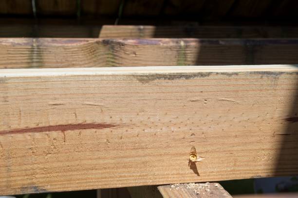 istock Floor joist for a wood deck 2165196326