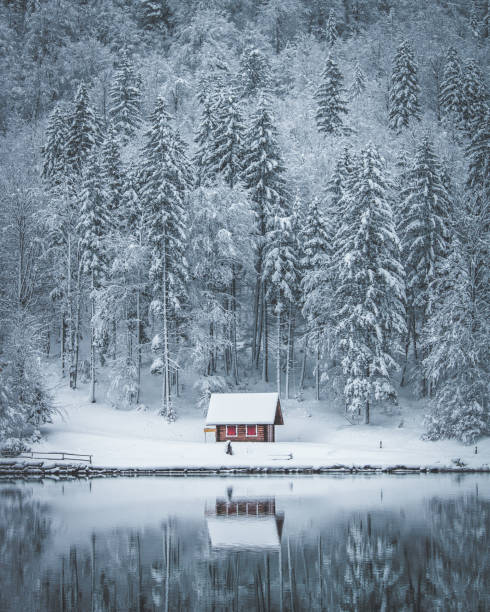 Digitally generated dreamlike winter landscape on a sunny day, after a heavy snowfall.The scene was created in Autodesk® 3ds Max 2024 with V-Ray 6 and rendered with photorealistic shaders and lighting in Chaos® Vantage with some post-production added.