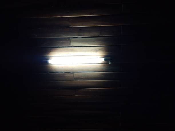 Light of an electric lamp.