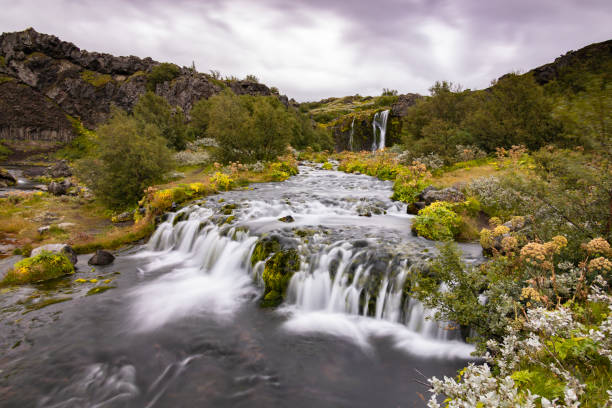 istock Gjain valley in Iceland 2165198927