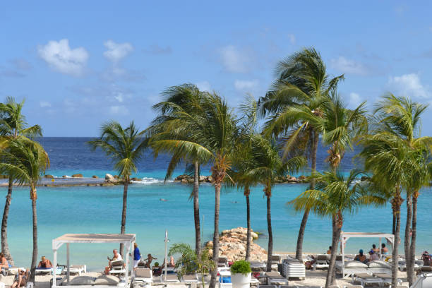 some palm trees on a beach on the island of curacao