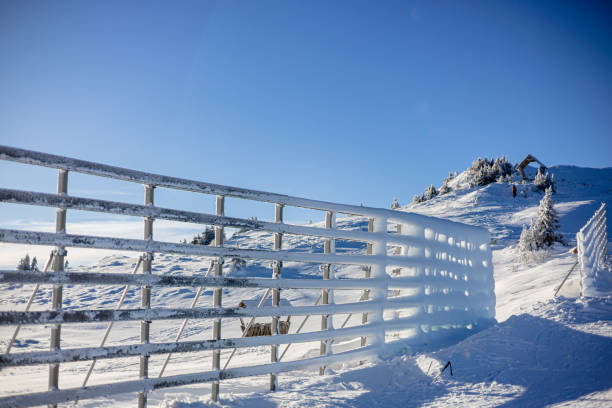 An untouched ski slope, blanketed in fresh snow under a clear blue sky, offers a tranquil scene of natural beauty. The landscape, with snowcapped mountains and distant valleys, captures the essence of winter sports destinations, inviting exploration and adventure in the polar climate's serene environment