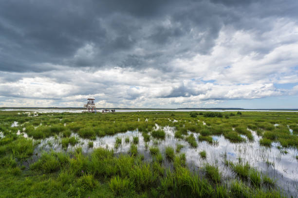 Engure lake flooded meadows and bird watching tower