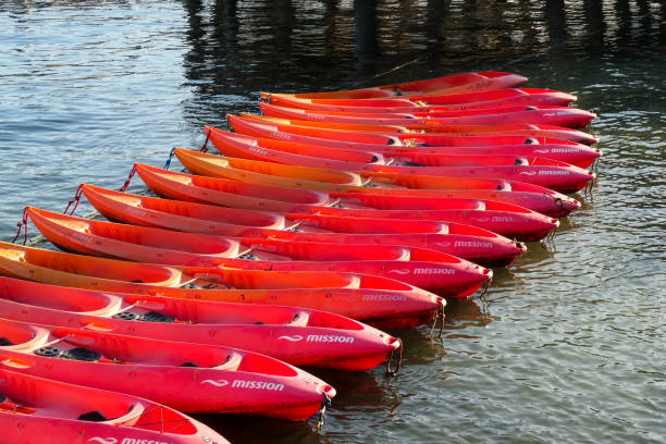 Empty yellow and red canoes on a calm water