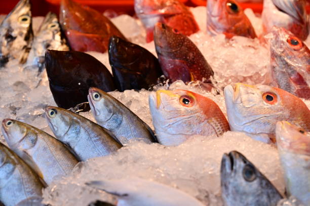 Vibrant Traditional Fish Market Scene